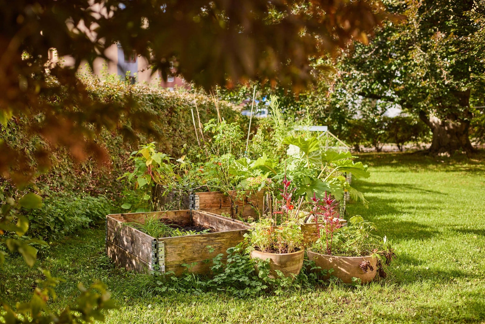 Uteområde. Galleribilde