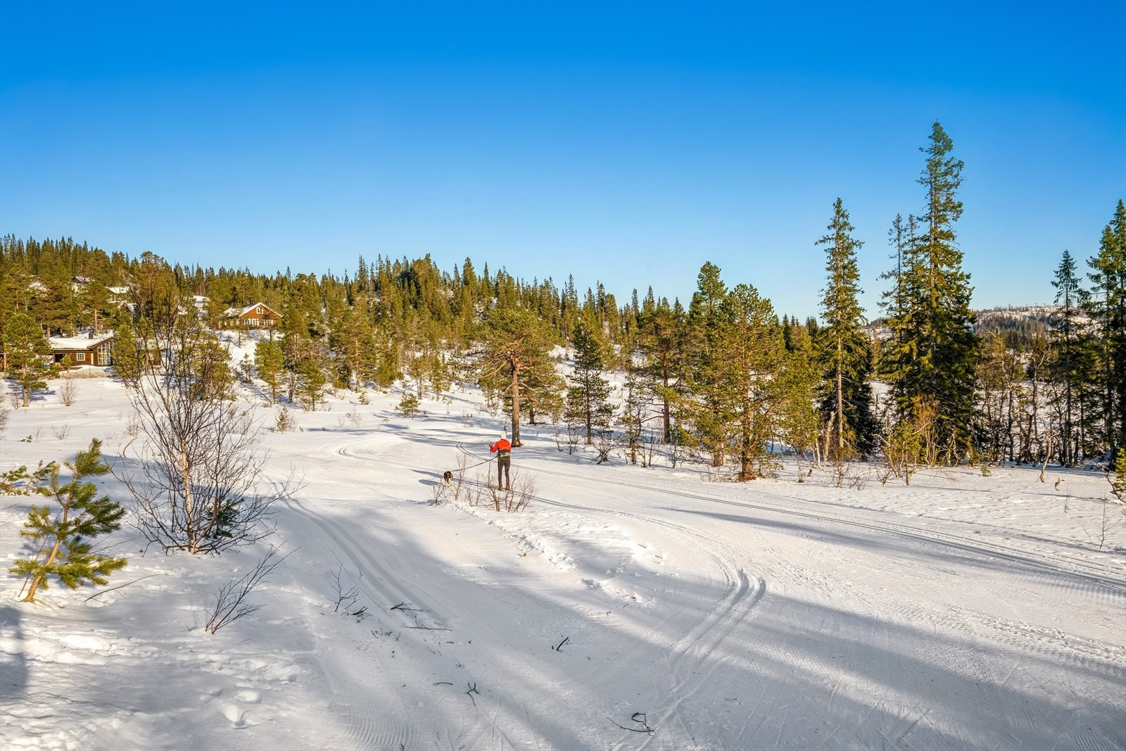 God tilgang på et eldorado av skiløyper Galleribilde