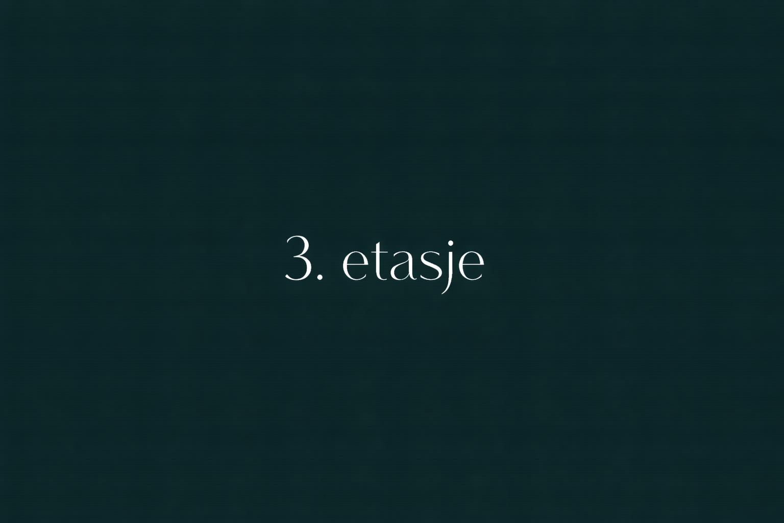 3. etasje Galleribilde