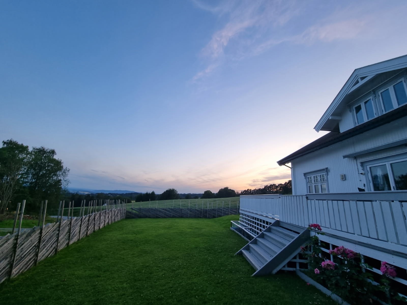 Selgers eget sommerbilde. Galleribilde