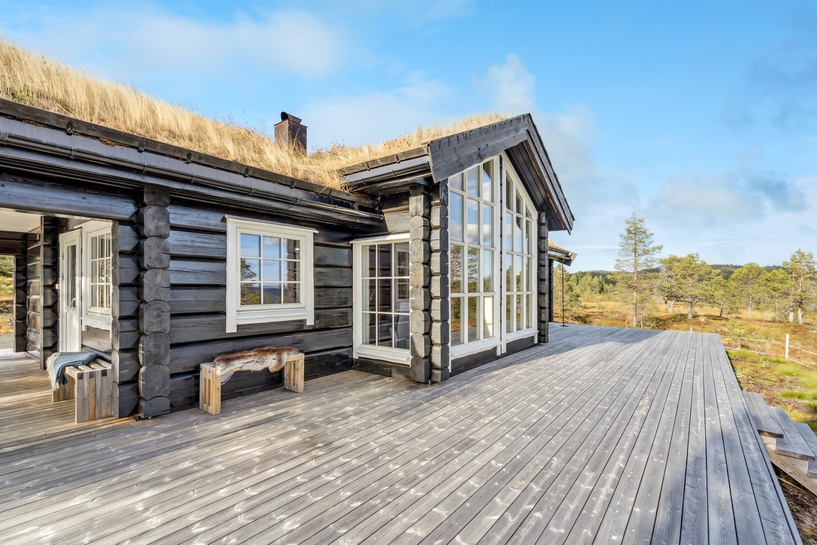 Velkommen til Damtjennvegen 237! Galleribilde