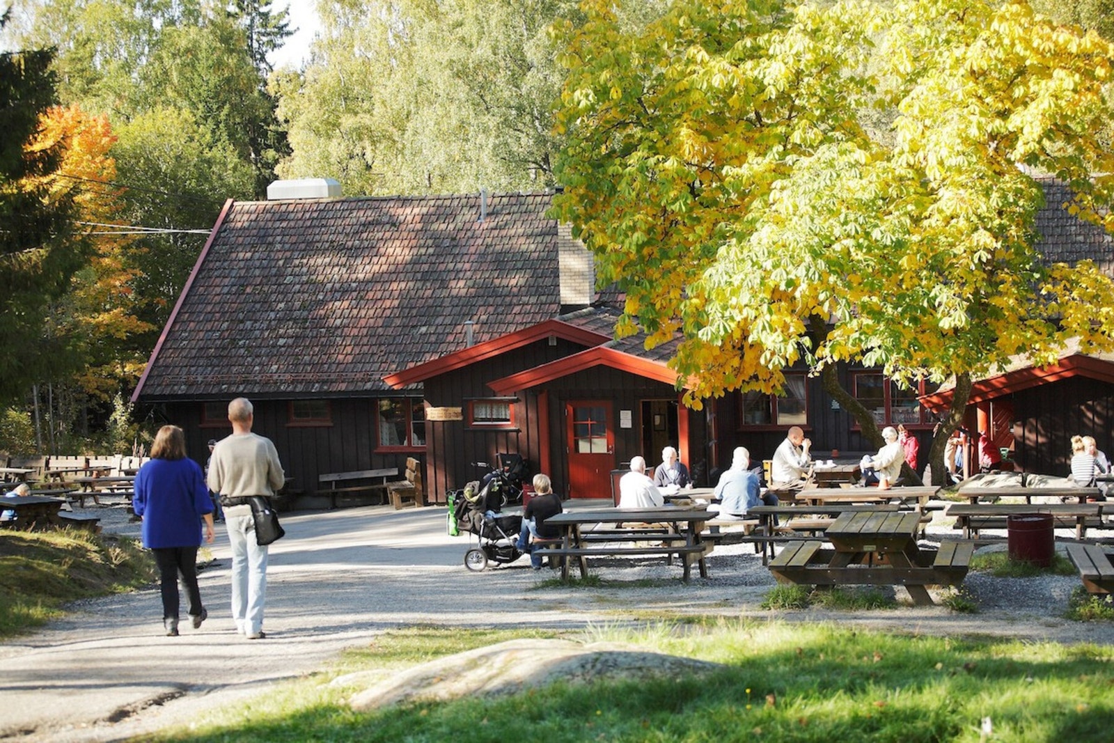 Nærområdet. Galleribilde