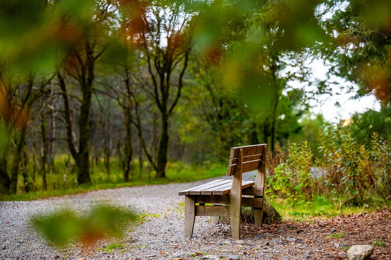 - Nydelige turmuligheter i nærområdet - Galleribilde