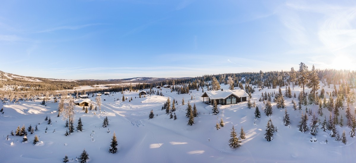 Velkommen på visning i makeløse Merkelia! Galleribilde