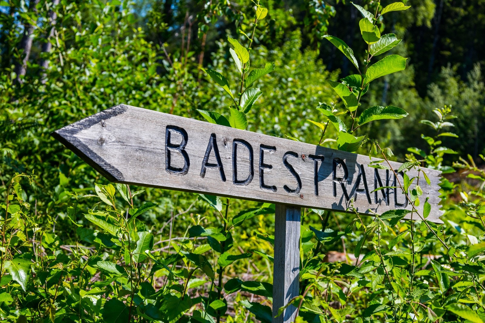 En kort rusletur ned bakken, finner man deilig sandstrand og brygger. Galleribilde