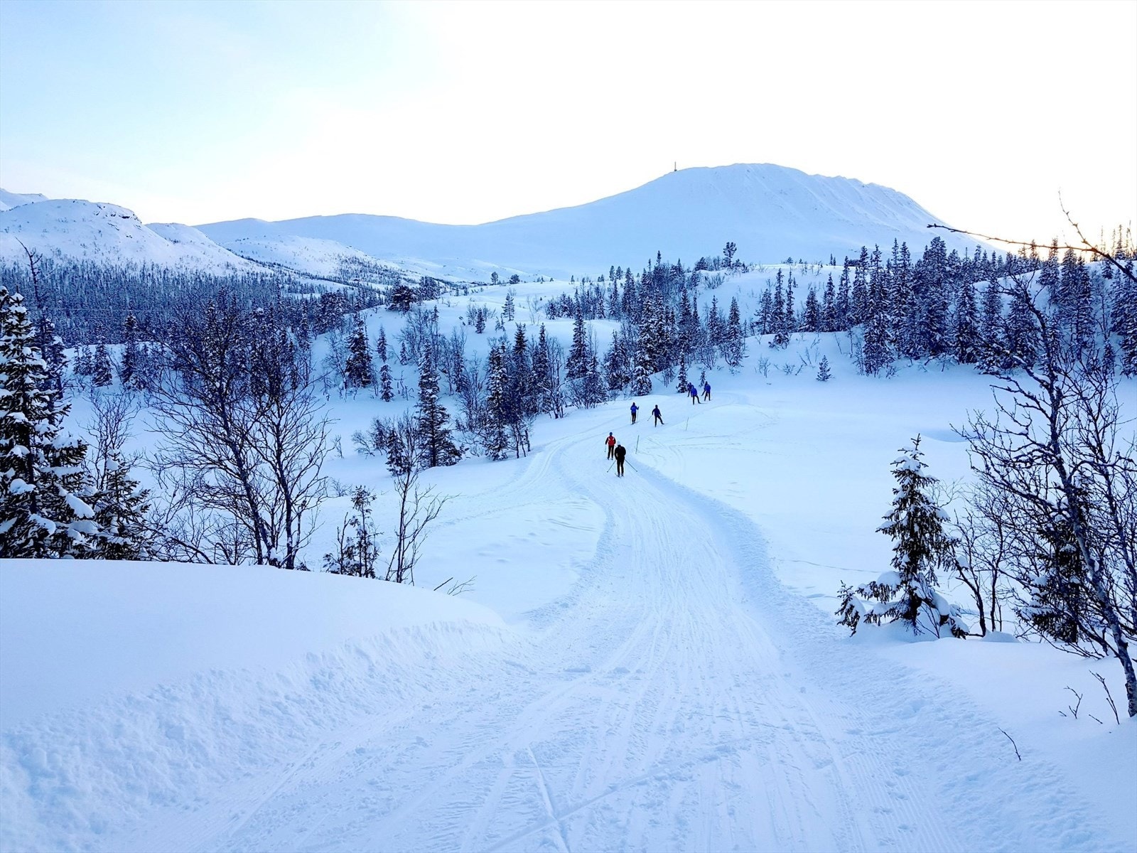 Området har cirka 90 km med preparerte langrennsløyper, fordelt på 17 løyper som spenner seg over alle vanskelighetsgrader fra en lett
nybegynnerløype på 1 km til en skikkelig høyfjellstur på 23 km. Galleribilde