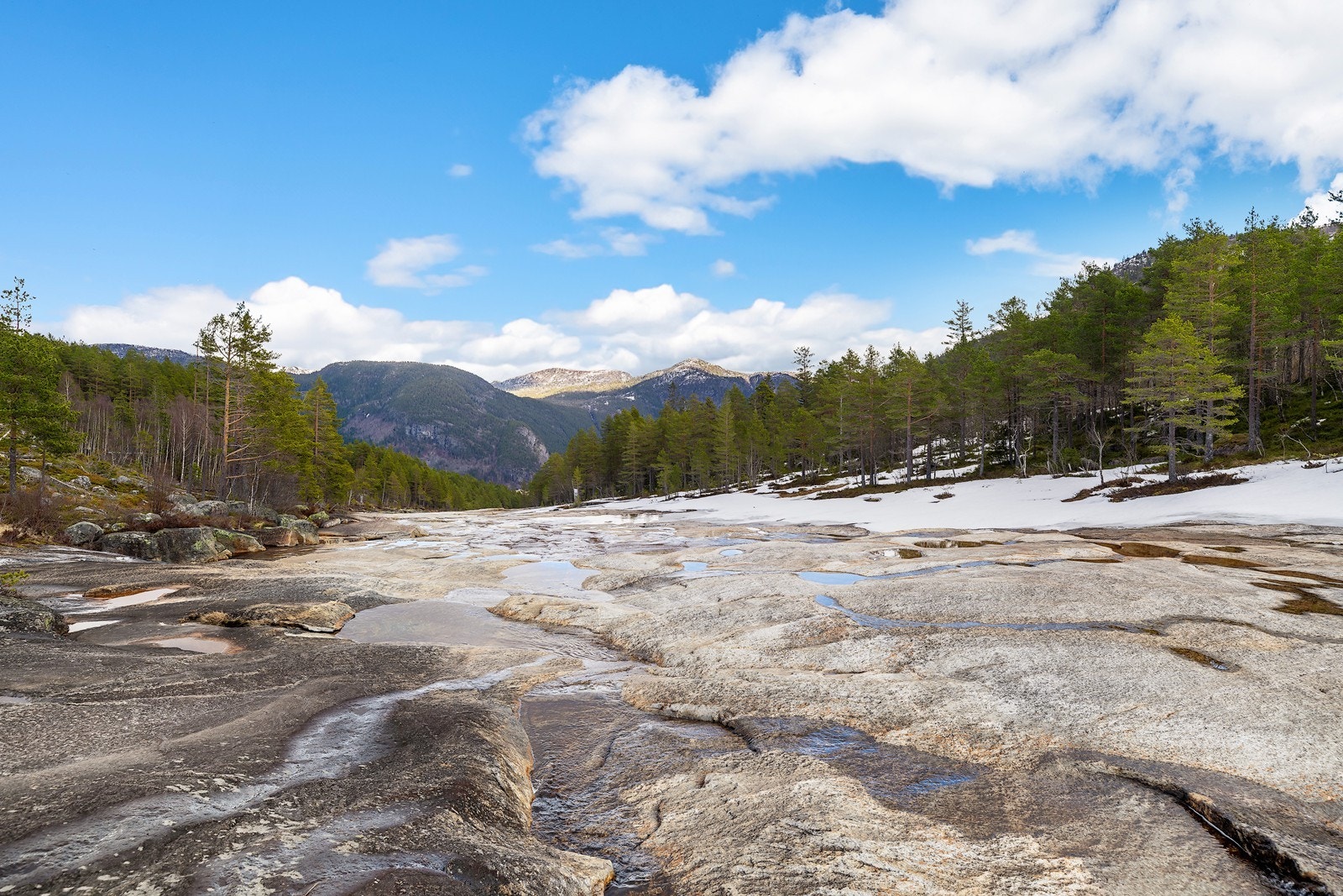 Nærområdet Galleribilde