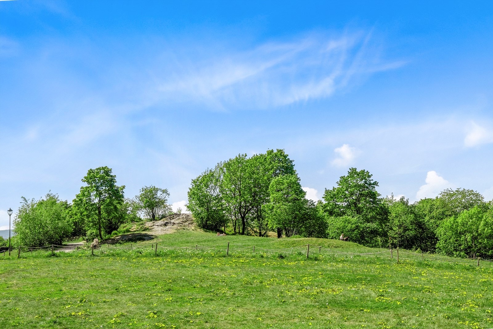 Ola Narr ligger rett utenfor døren og er en av områdets mest benyttede parker, perfekt for piknik, soling, lek og avslapning. Galleribilde