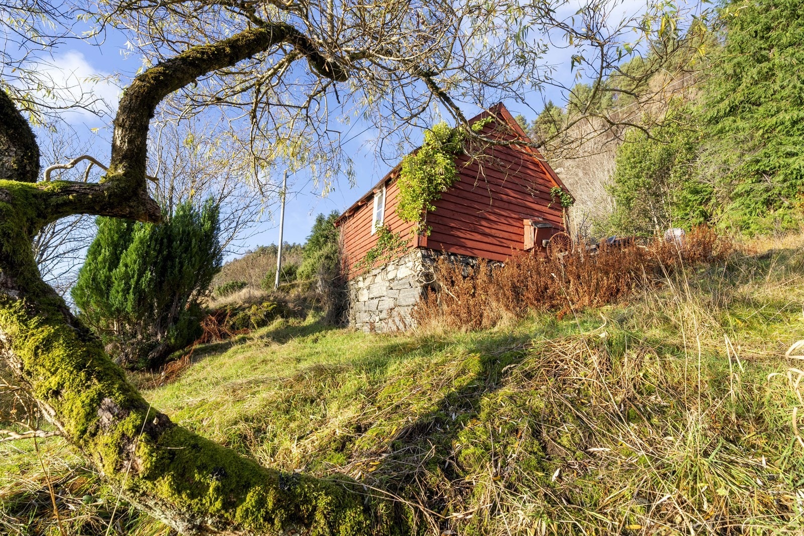Eldre bygningar med originale murer på eigedomen - her er uthuset Galleribilde