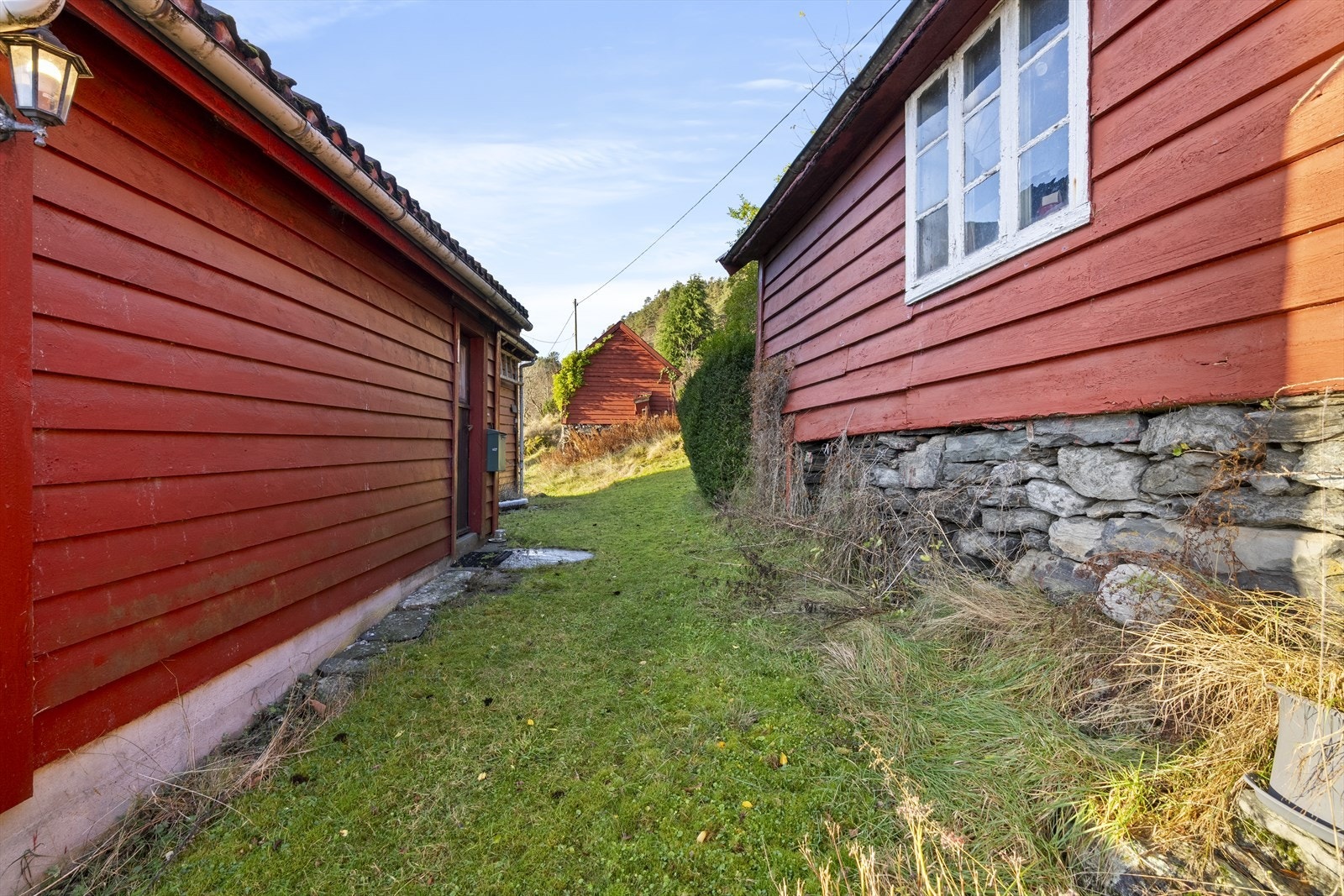 Koselig tun med fleire bygningar Galleribilde