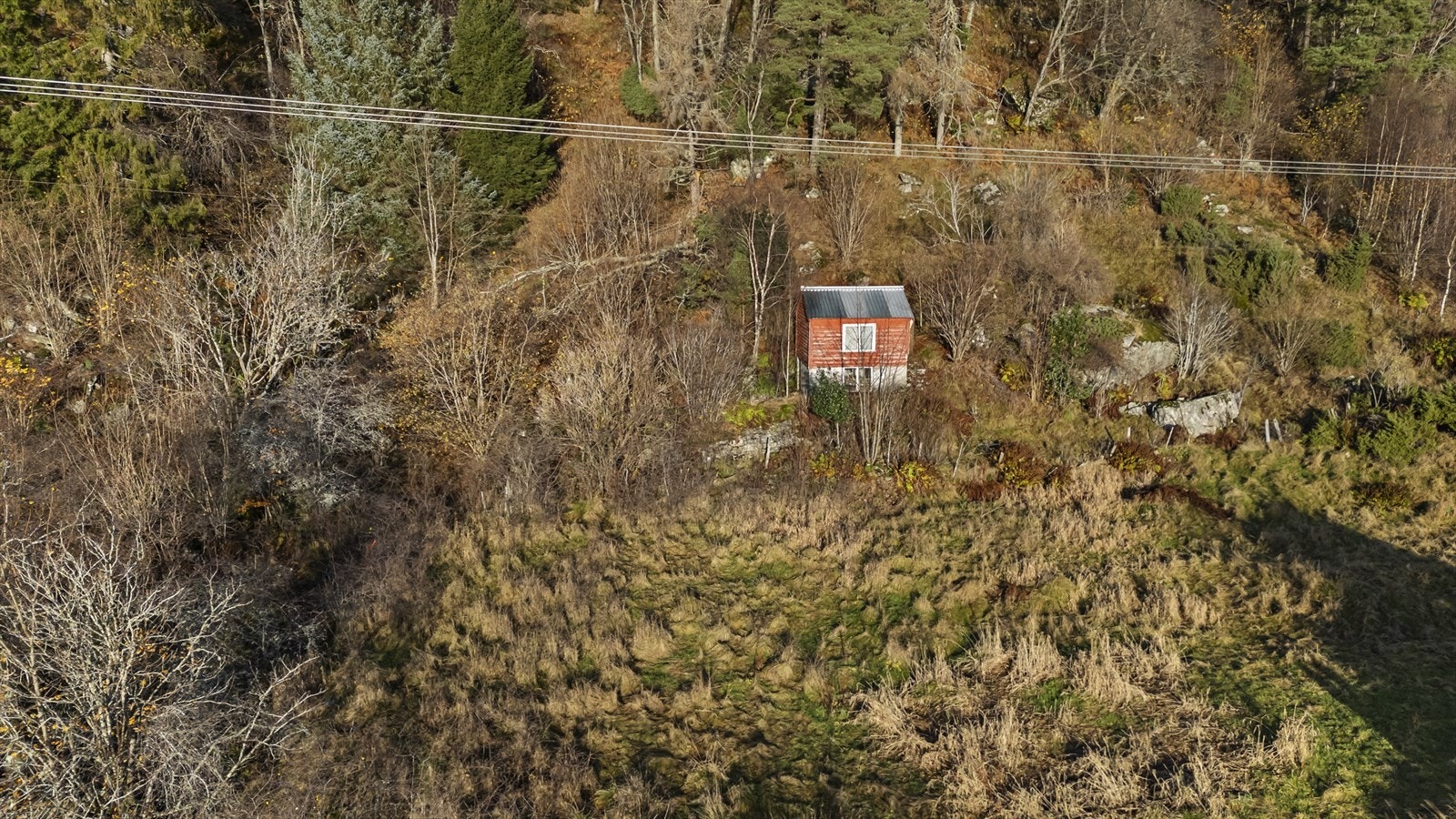 Skogshytta følgjer med i salet Galleribilde