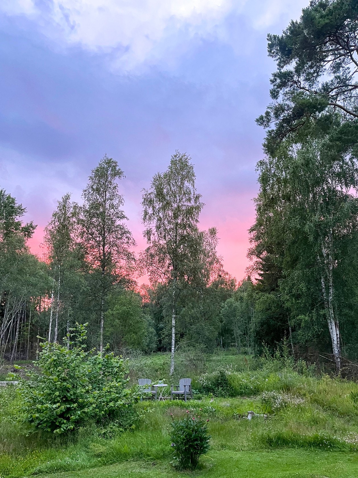 Säljarens egna bilder Galleribilde