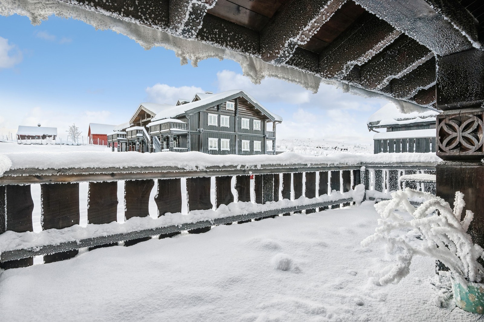 Vasetområde er et natureldorado året rundt Galleribilde