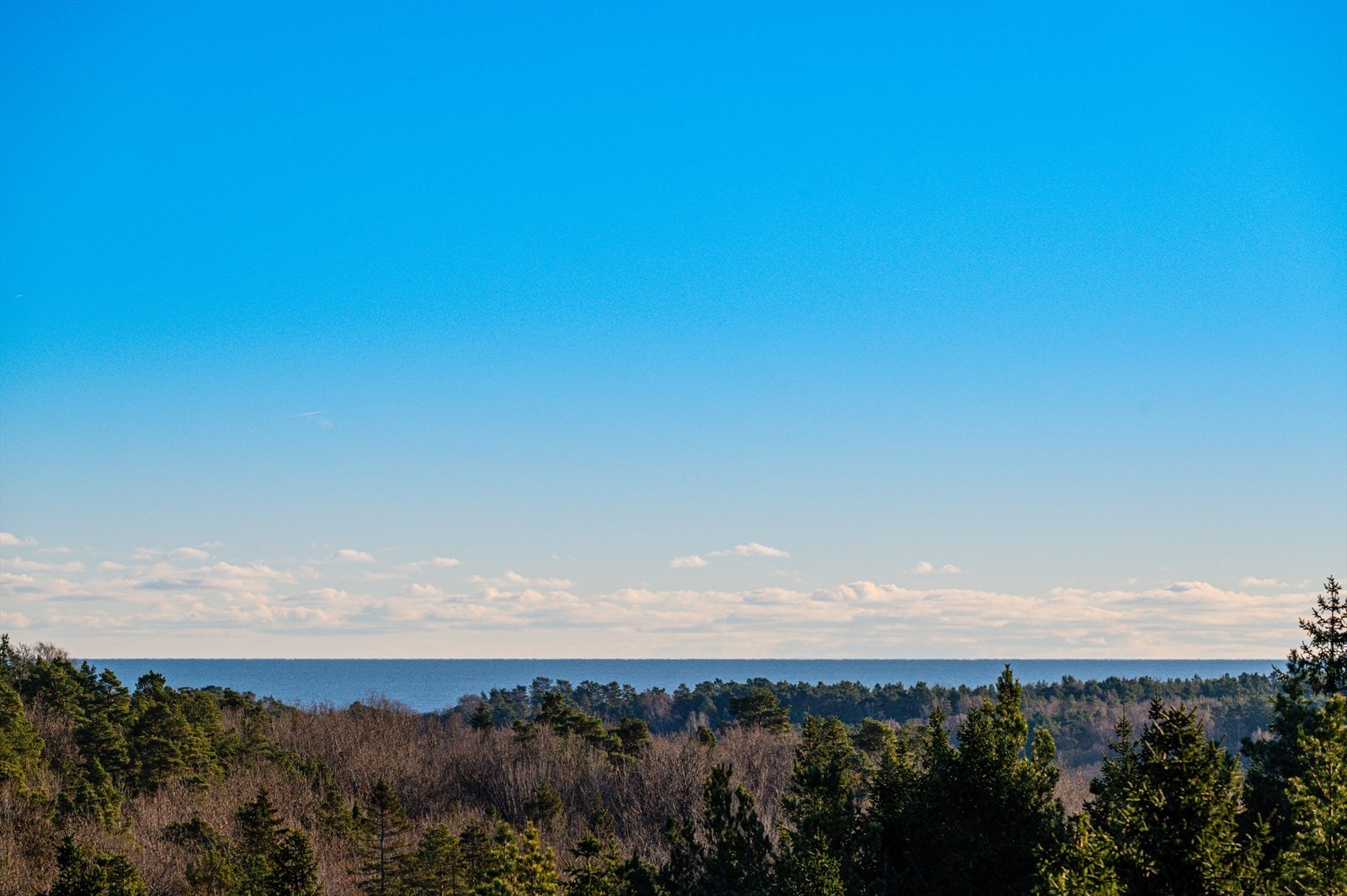 Nydelig utsikt! Galleribilde