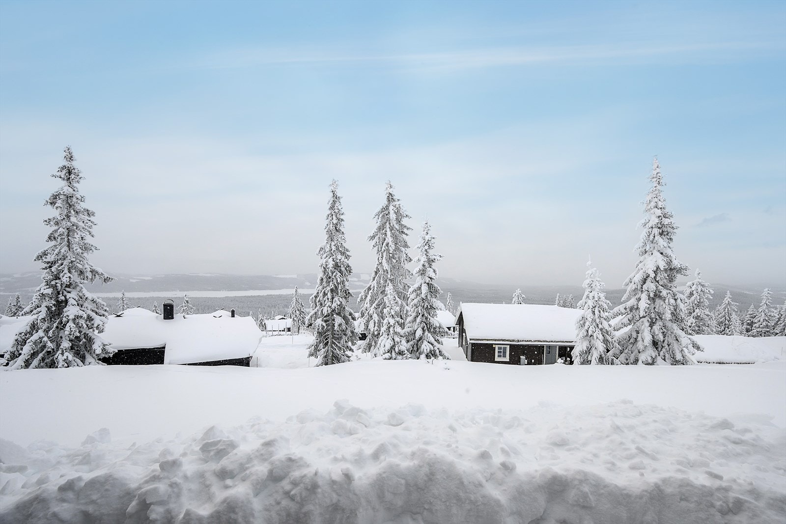 Hytta ligger i et attraktivt og populært område på Sjusjøen. Her har du tilgang til milevis med topp preparerte skiløyper. Galleribilde