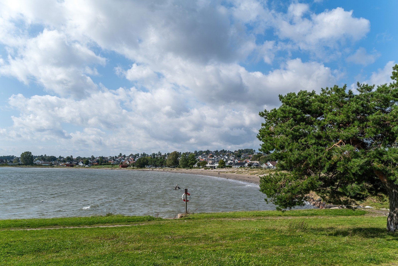 Nærområdet - Ringshaugstranda. Galleribilde