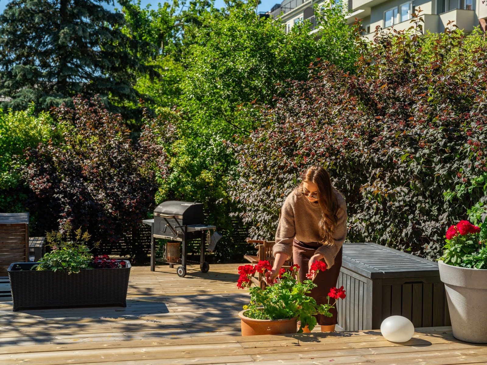 Bakgården er utstyrt med stor sittegruppe, grill, plantekasser og masse, masse sol! Galleribilde