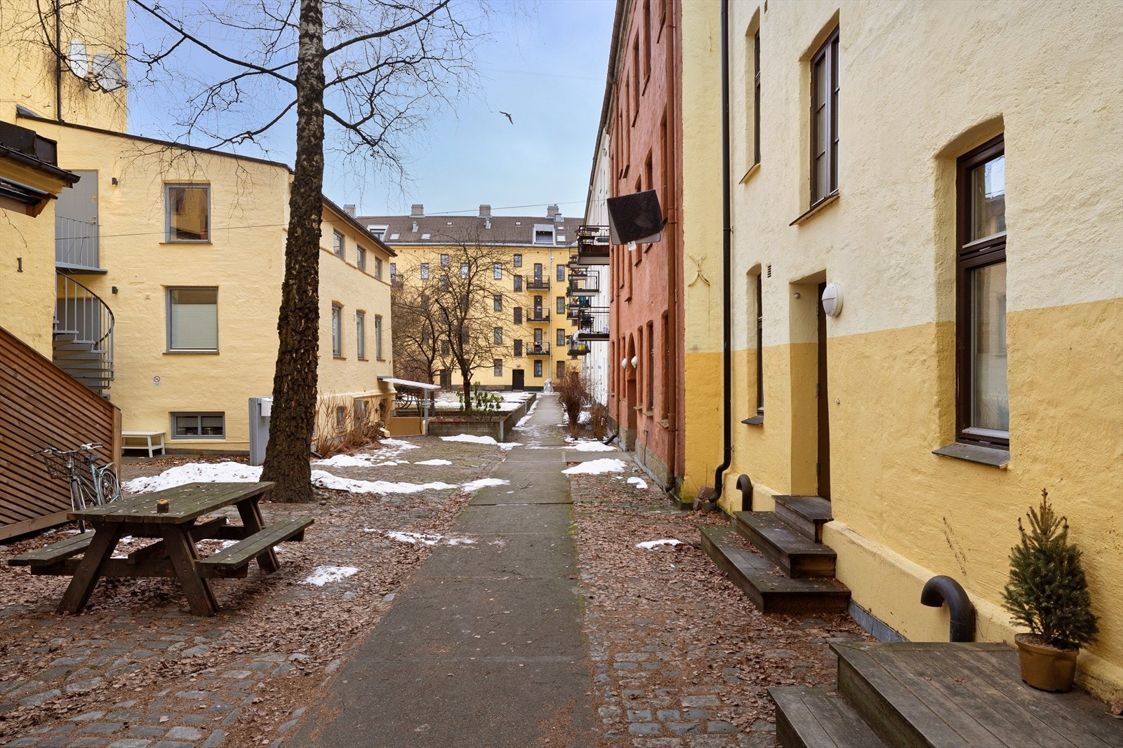 Bakgård. Galleribilde