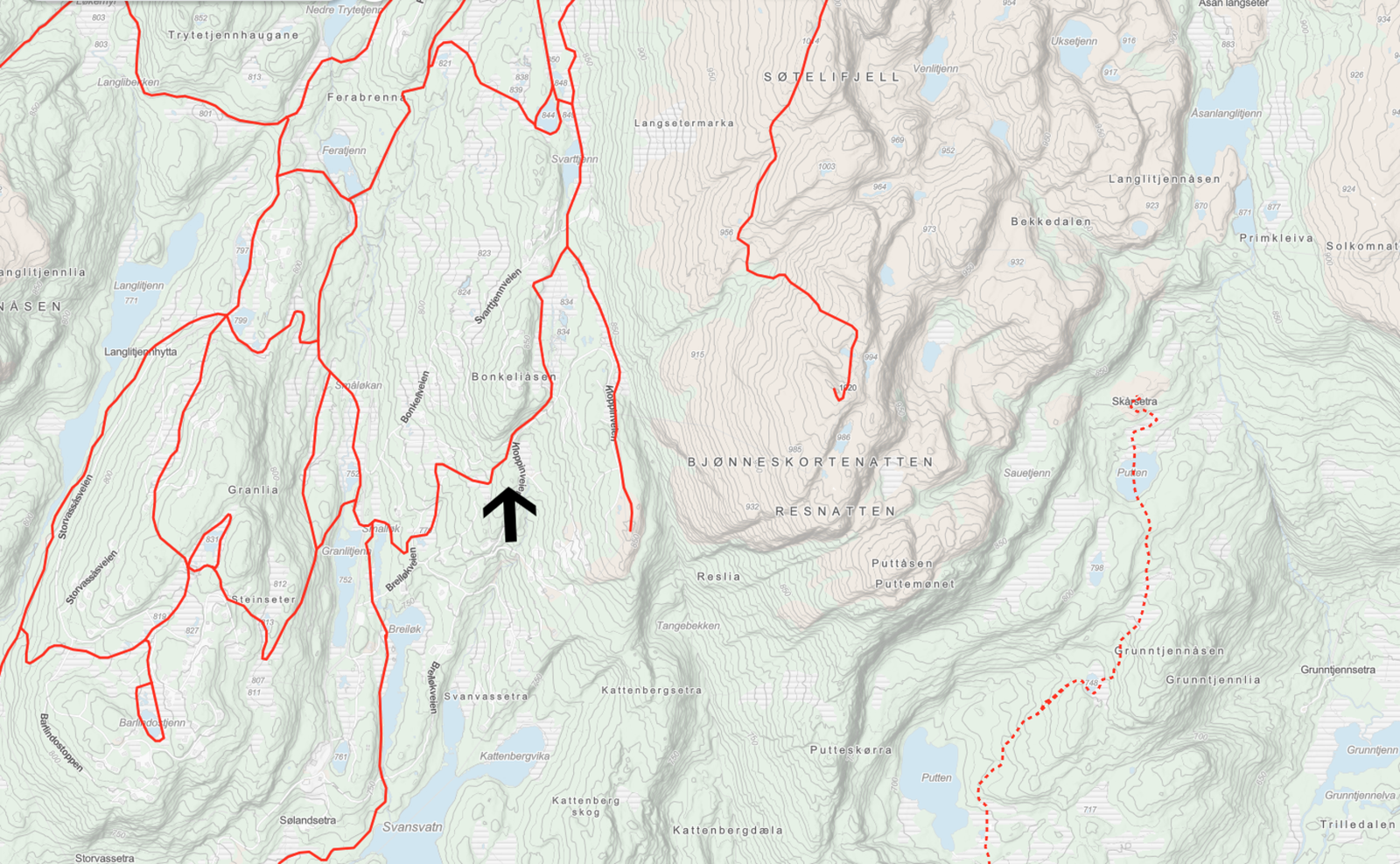 Kartet viser skiløypene i området. Den sorte pilen markerer hyttetomten. Galleribilde