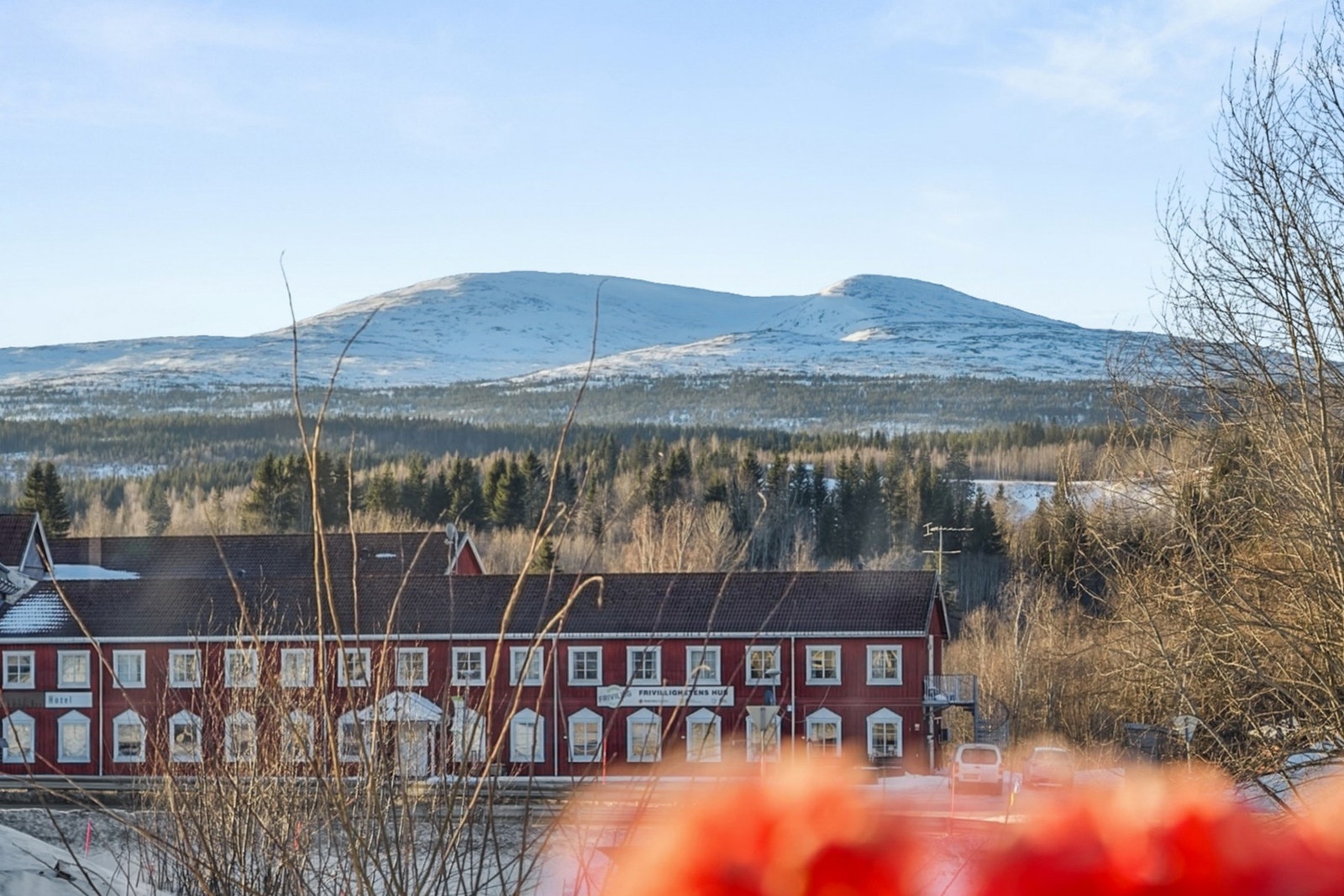 Velkommen til en hyggelig visning! Galleribilde