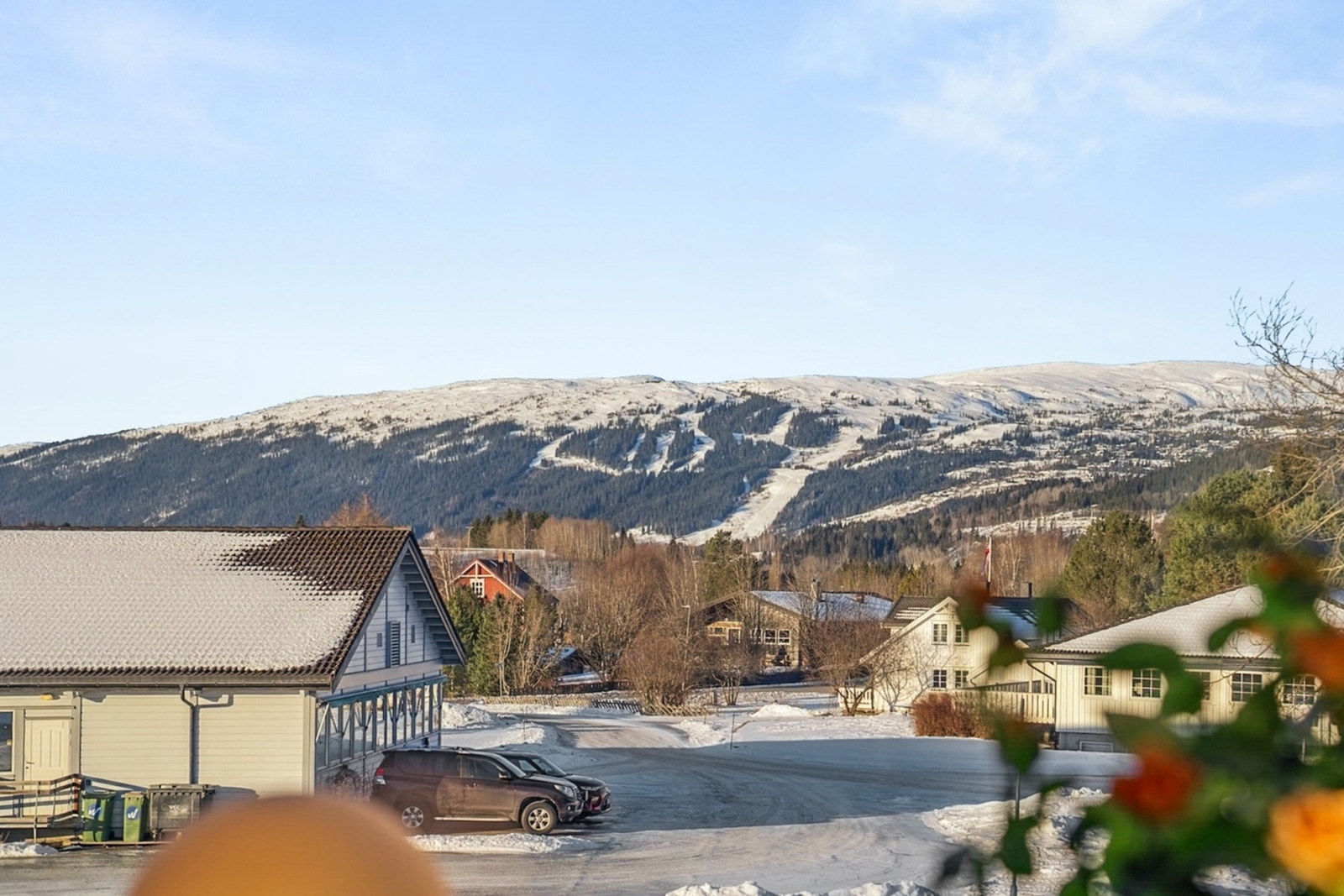 Fra stuen har du flott utsikt. Galleribilde