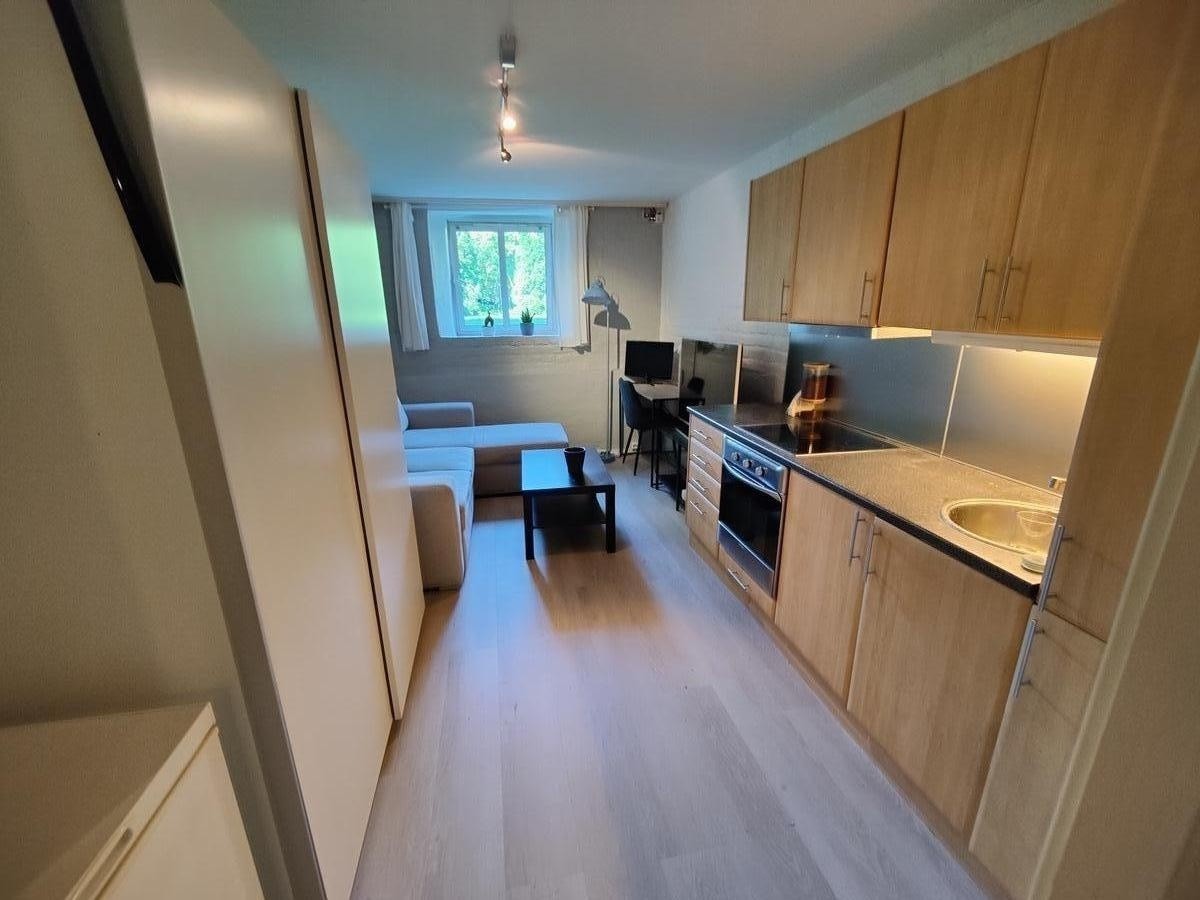 Rommet har utsyn i mot hagen Galleribilde