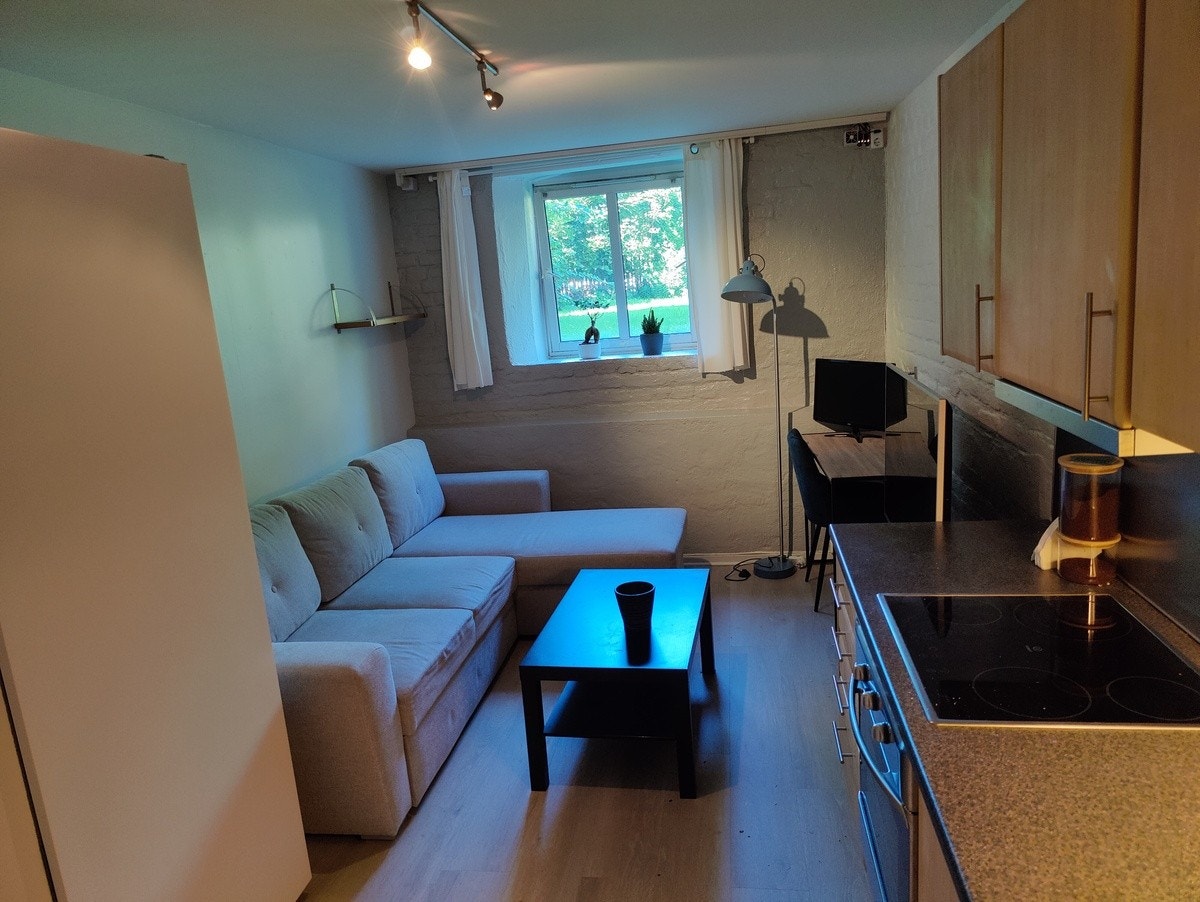 Møblene følger ikke med men det er ett stort garderobeskap og fryser følger med Galleribilde