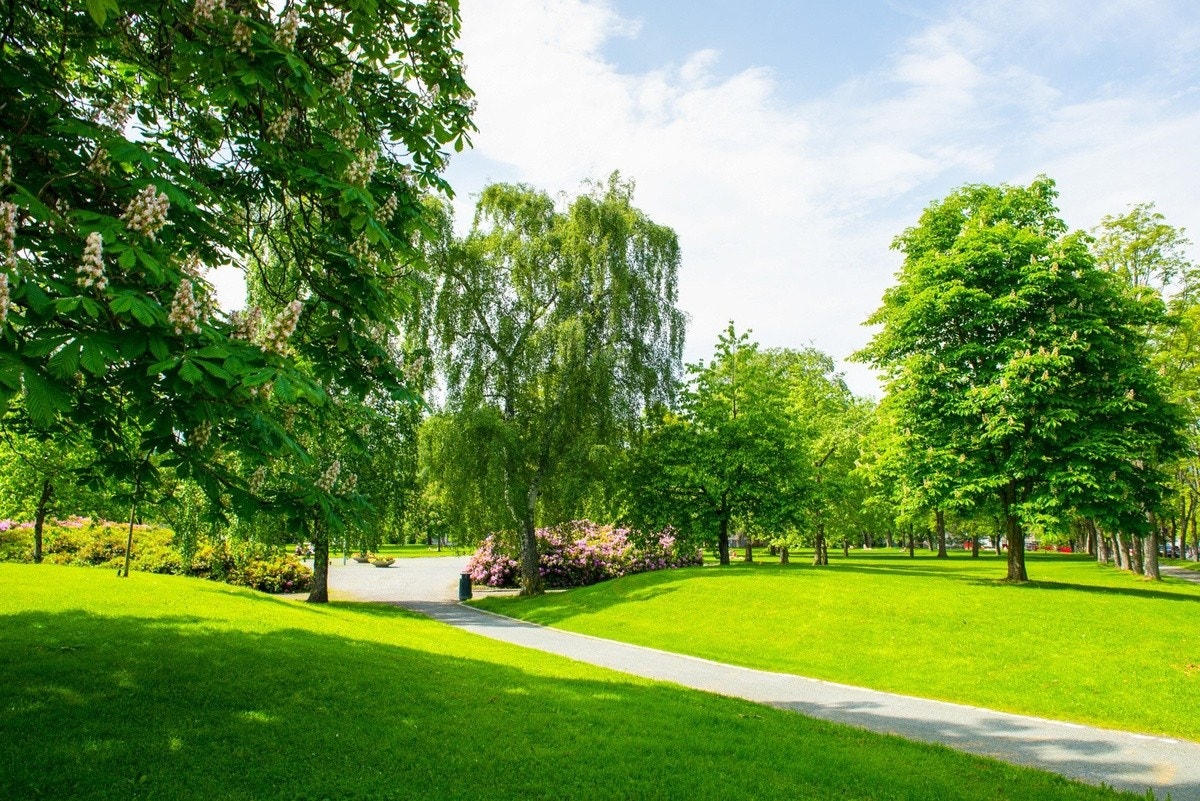 Like ved finner du også flotte Høyskoleparken og Marinen, som er populære samlingssteder om sommeren for soling, grilling og ballspill. Galleribilde