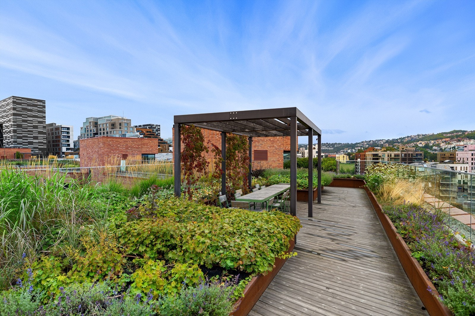 Takterrasse Munch Brygge Galleribilde