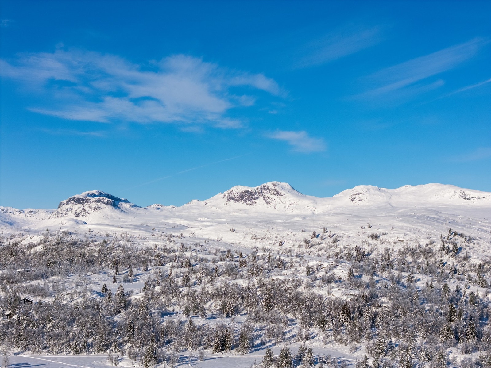 Her er du tett på naturen og alt den har å tilby Galleribilde