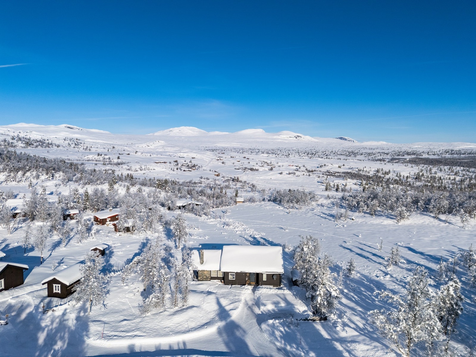 Gode solforhold Galleribilde