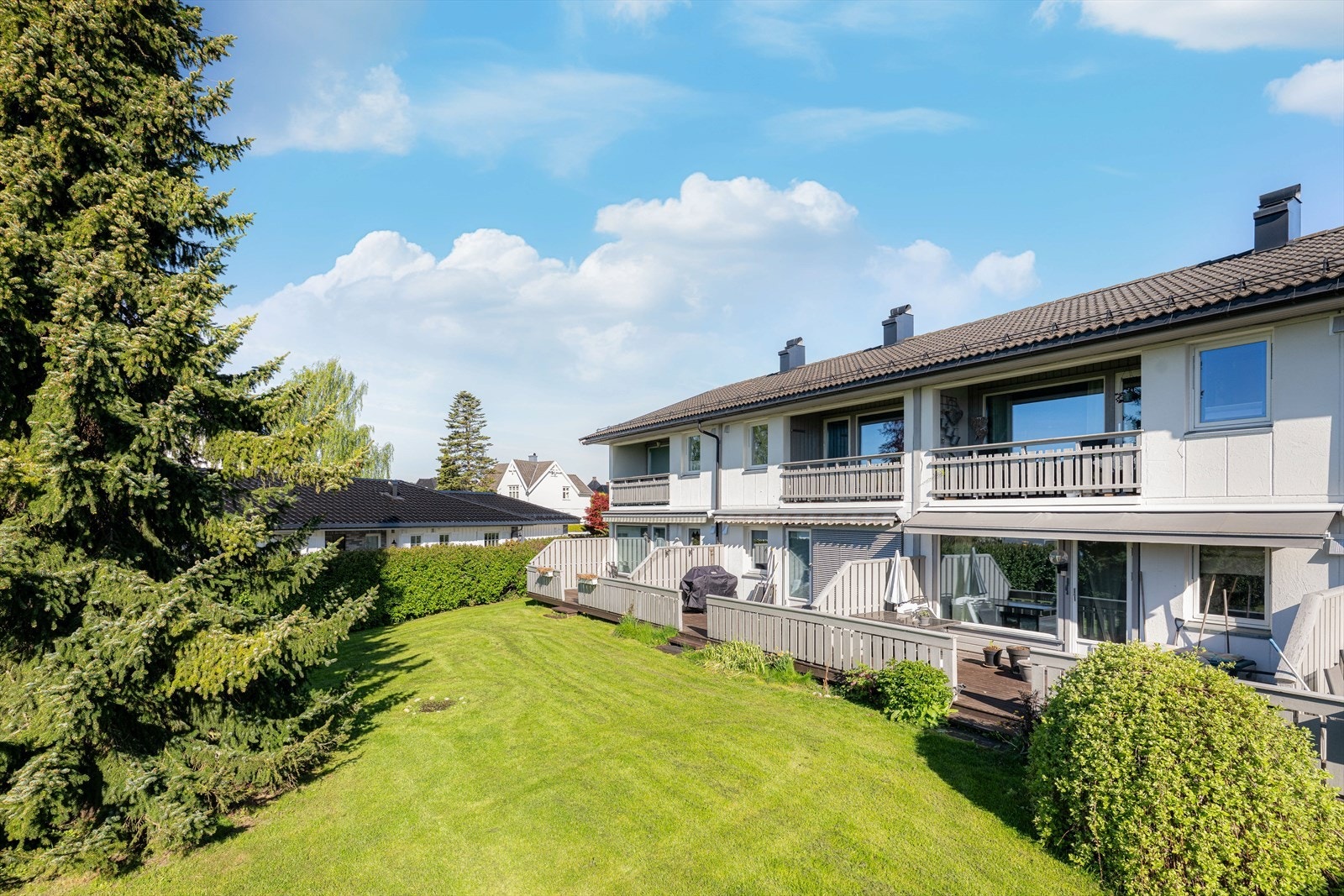 Sommerbilde! Galleribilde