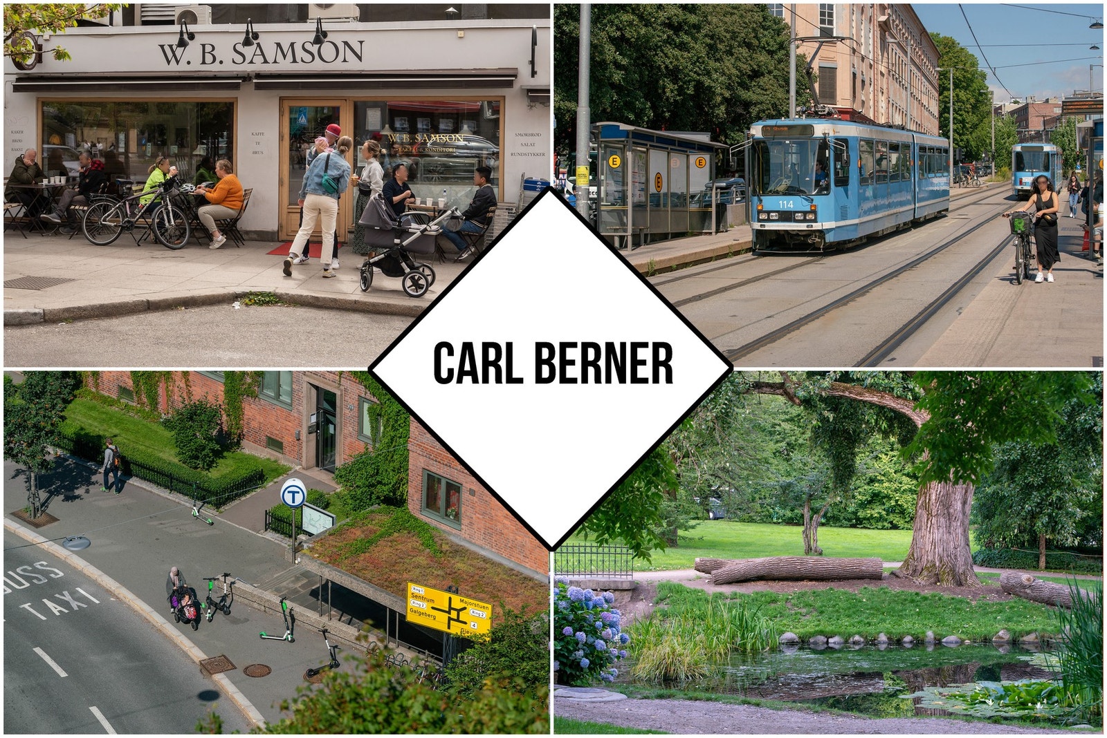 Nærområdet. Galleribilde