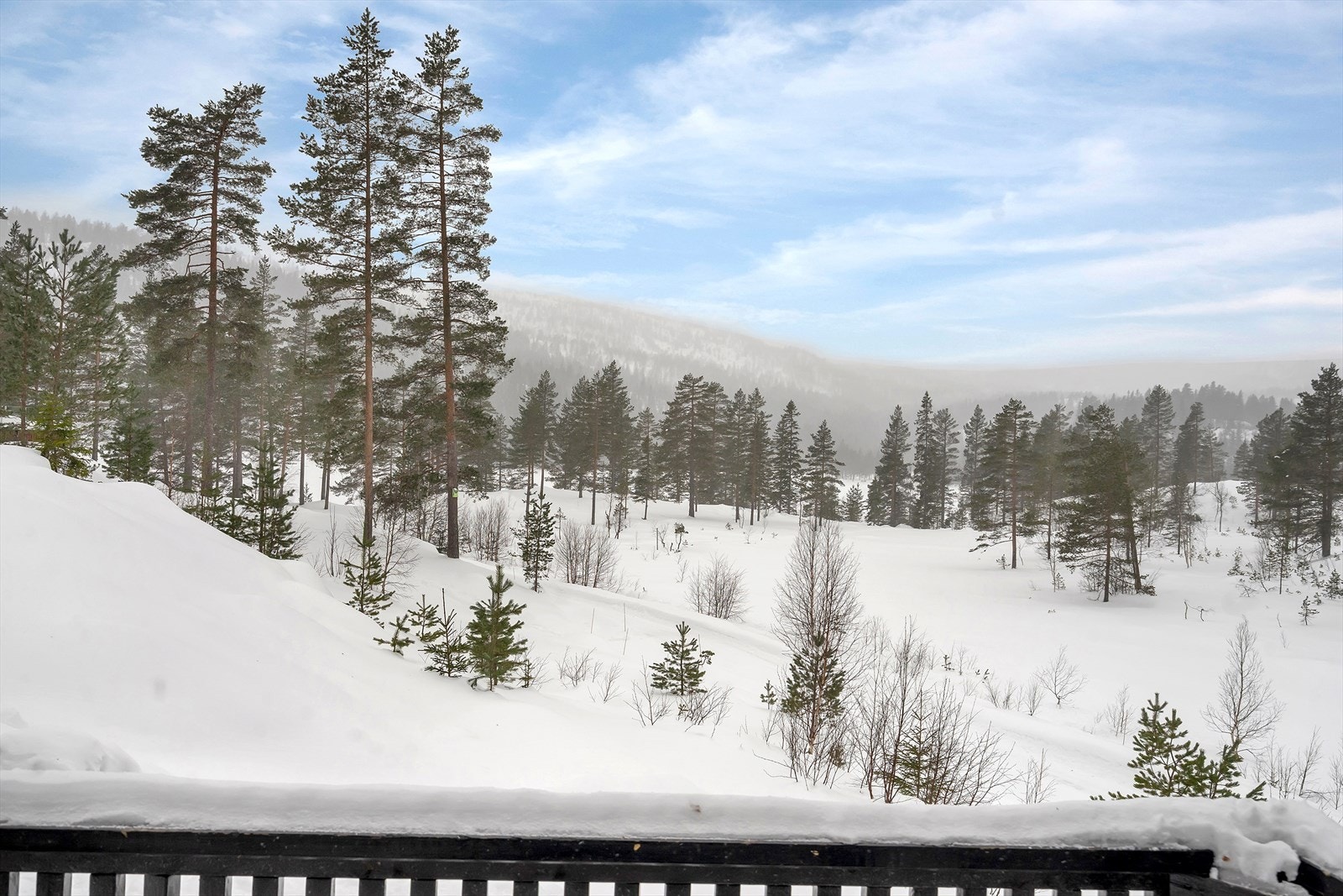 Nydelig utsikt fra hytta Galleribilde