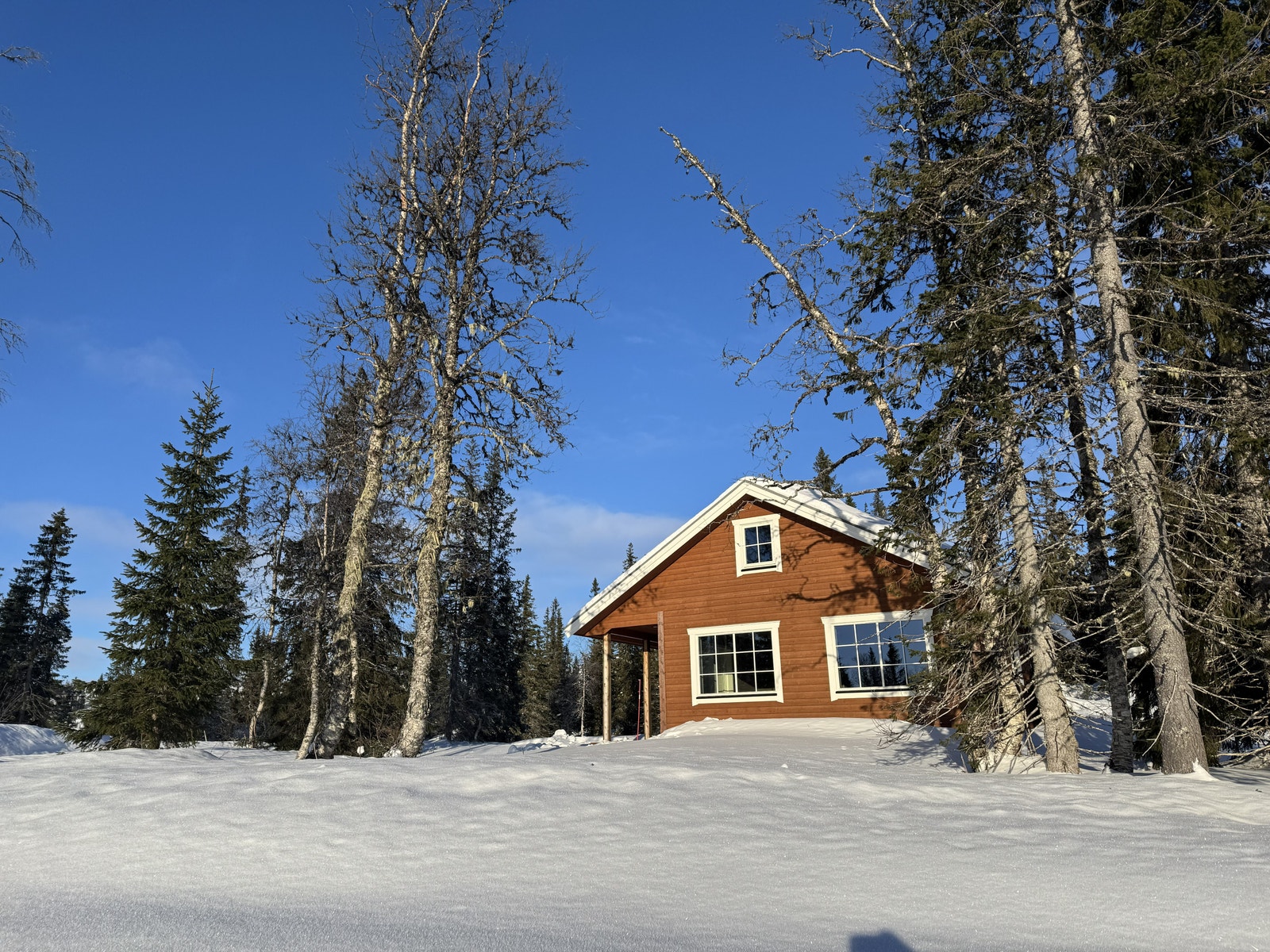 Hytta ligger i naturskjønne omgivelser med meget gode solforhold hele dagen Galleribilde