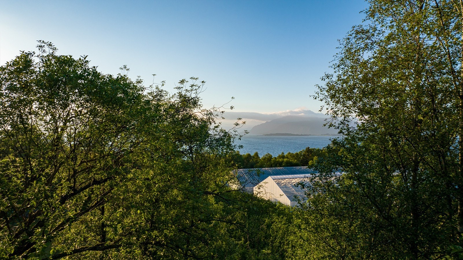 På tomten. Bilde er tatt i høyden. Galleribilde