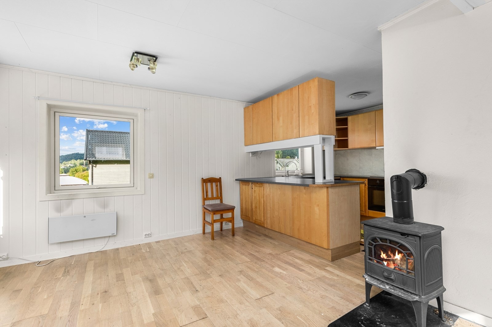 Boligen varmes opp med vedfyring og elektrisitet. Galleribilde