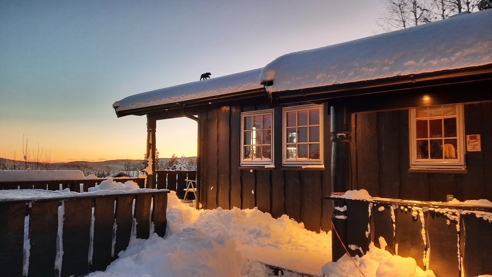 Selgers eget bilde. Galleribilde