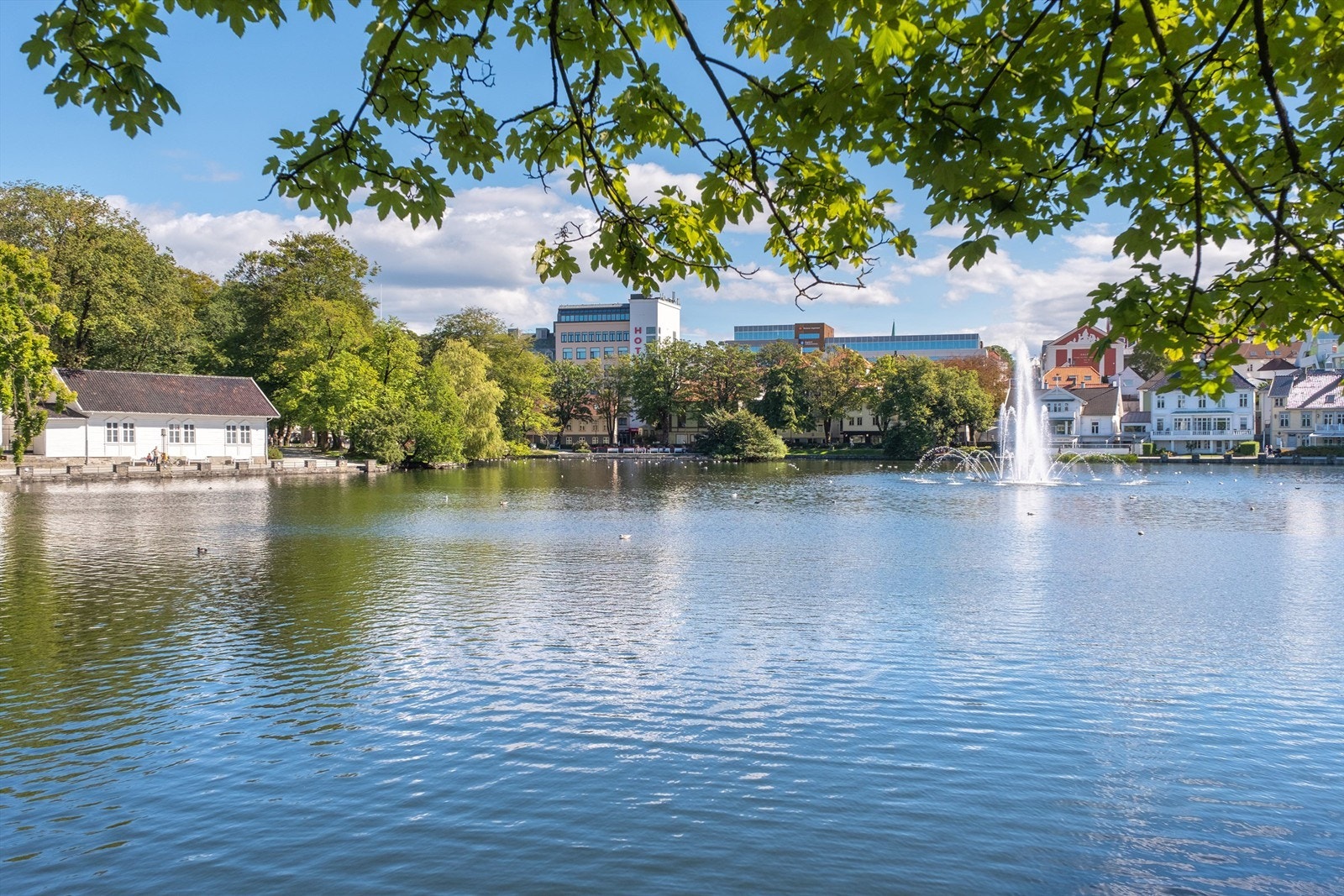 Det er gangavstand til Breiavannet, hvor man har jernbanestasjonen med god offentlig kommunikasjon som buss, tog og flybuss. Galleribilde