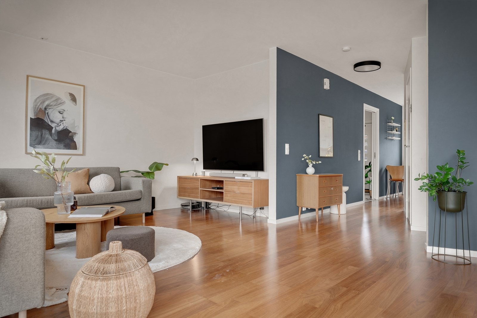 Det er sentralstøvsuger i boligen Galleribilde