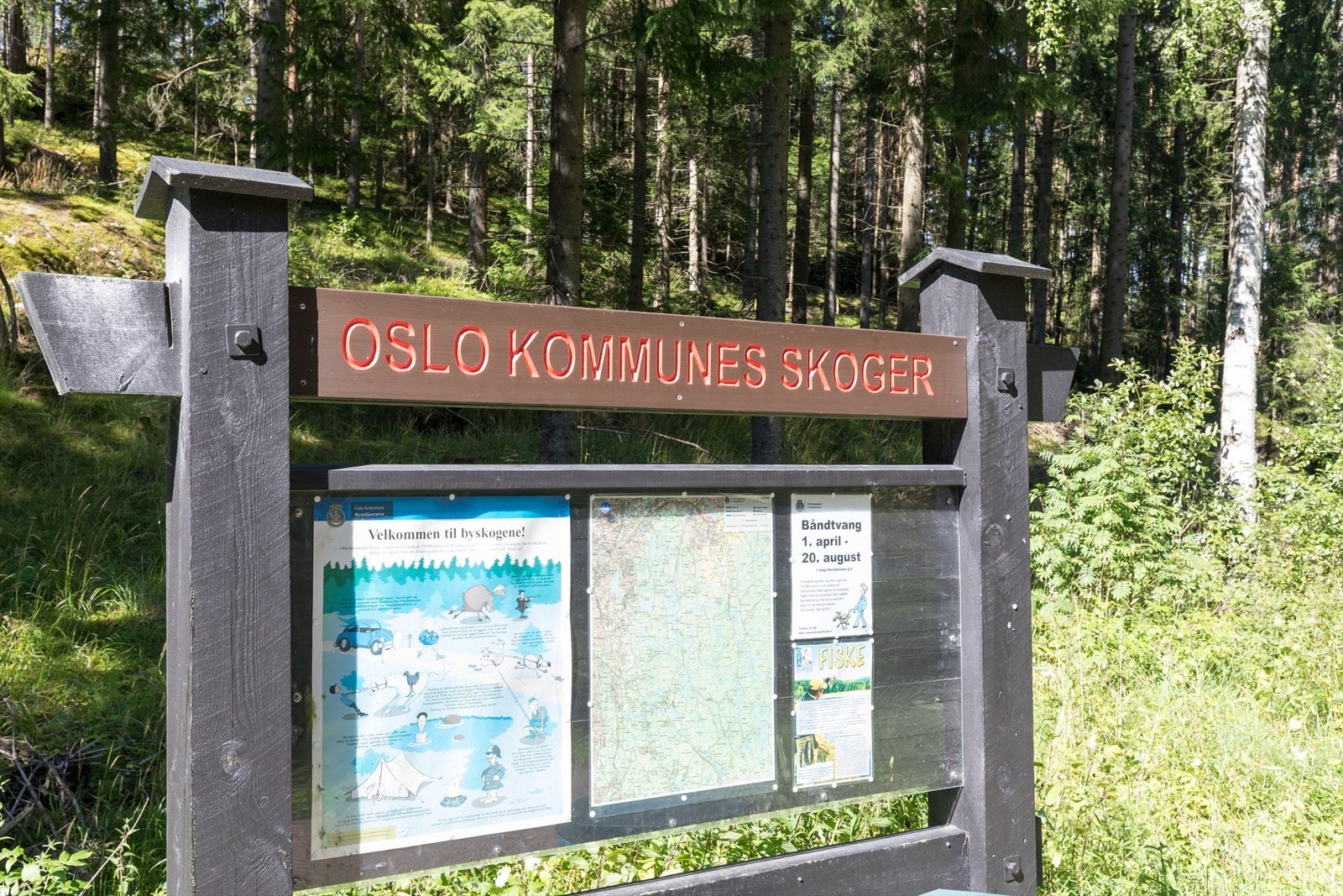 Østmarka nasjonalpark ligger rett i nærheten og gir tilgang til milevis med tur- og skiløyper. Galleribilde