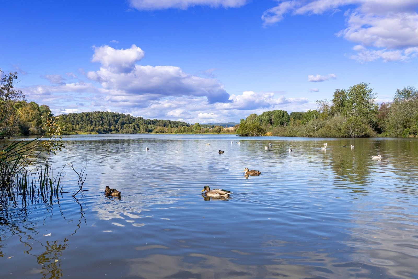 Fra eiendommen er det kort vei til Østensjøvannet naturreservat, kjent for sitt rike fugleliv og en tilrettelagt tursti som er like populær blant turgåere, syklister og barnefamilier. Galleribilde
