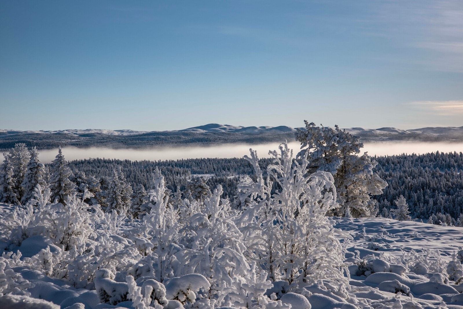 Utsiktsbilde. Galleribilde
