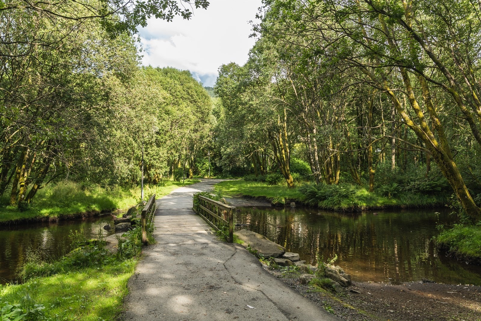Ønsker man heller å løpe/spasere utendørs har man Ortuvannet med vei helt rundt, samt kryr av dyreliv. Galleribilde