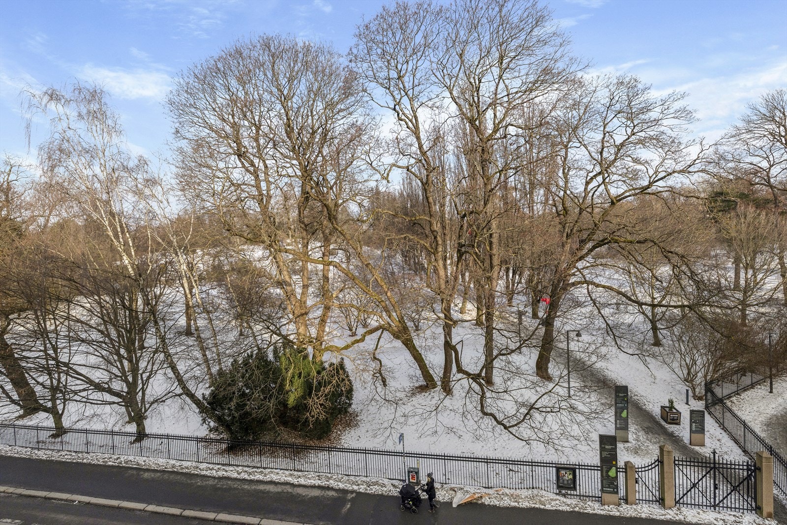 Utsikt fra stuen til Botanisk hage. Alle årstidene kan nytes helt inn i leiligheten Galleribilde