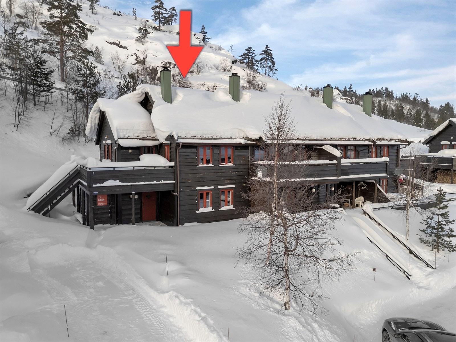 Stubben 20. Galleribilde