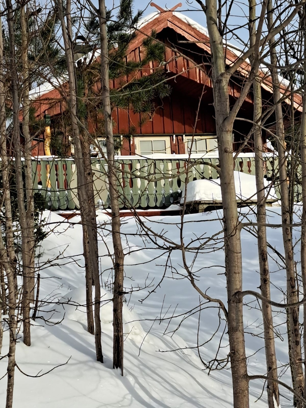 Selgers egne bilder (4).jpg Galleribilde