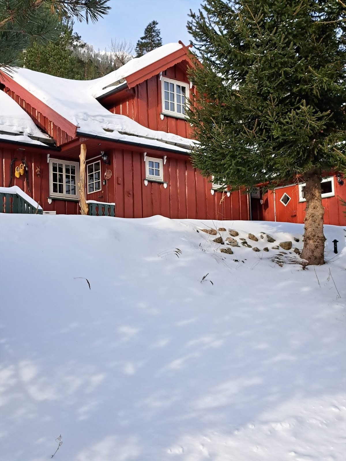 Selgers egne bilder (5).jpg Galleribilde