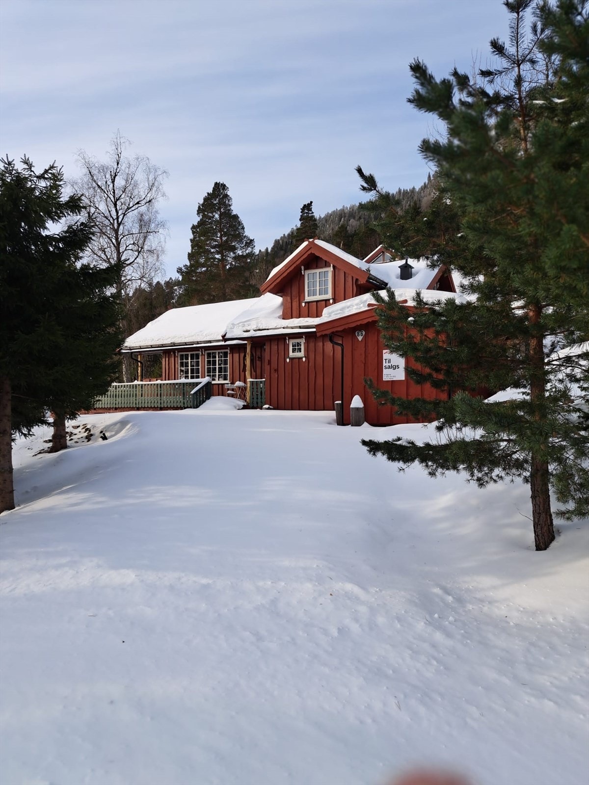 Selgers egne bilder (2).jpg Galleribilde