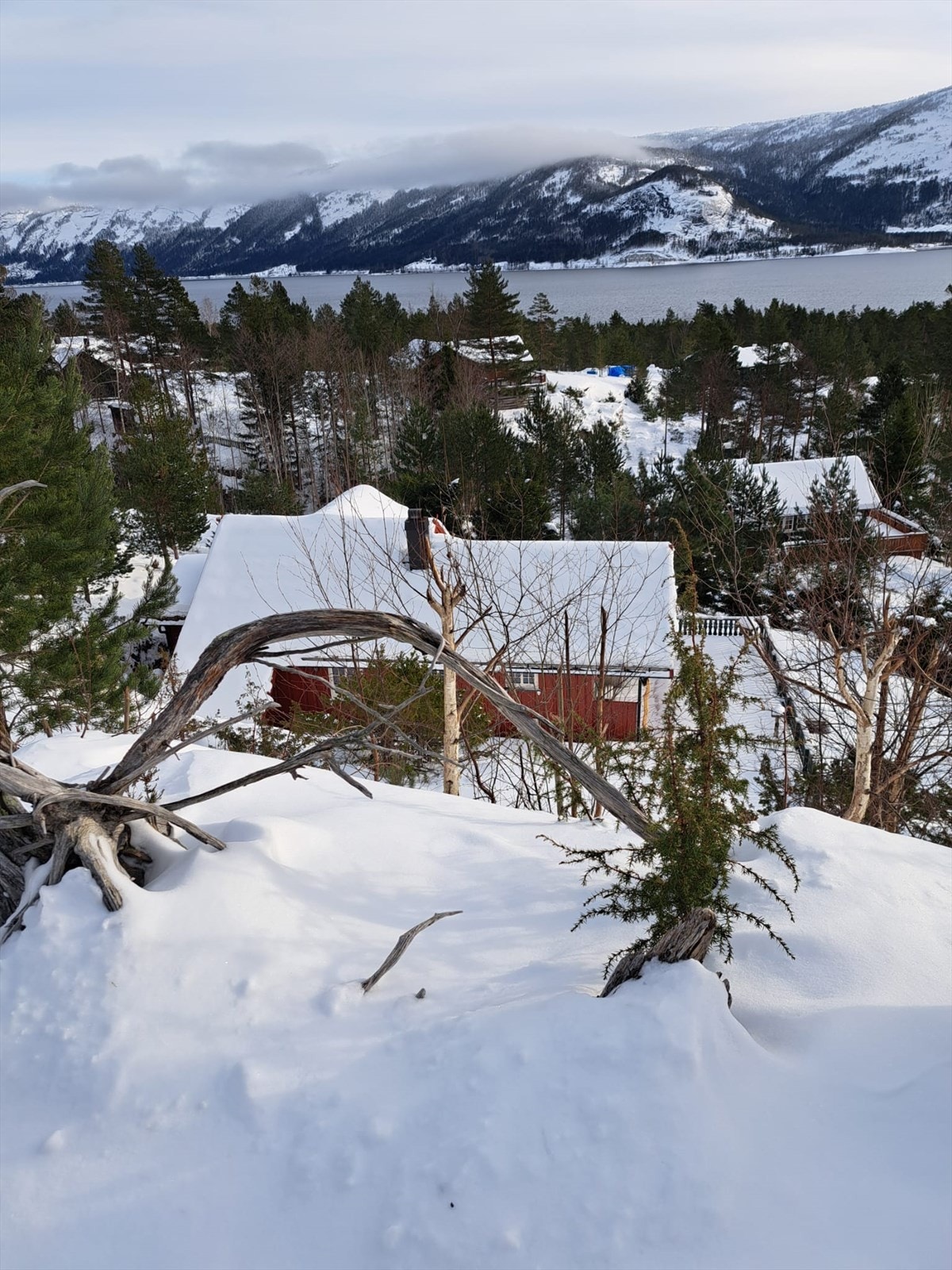 Selgers egne bilder (10).jpg Galleribilde